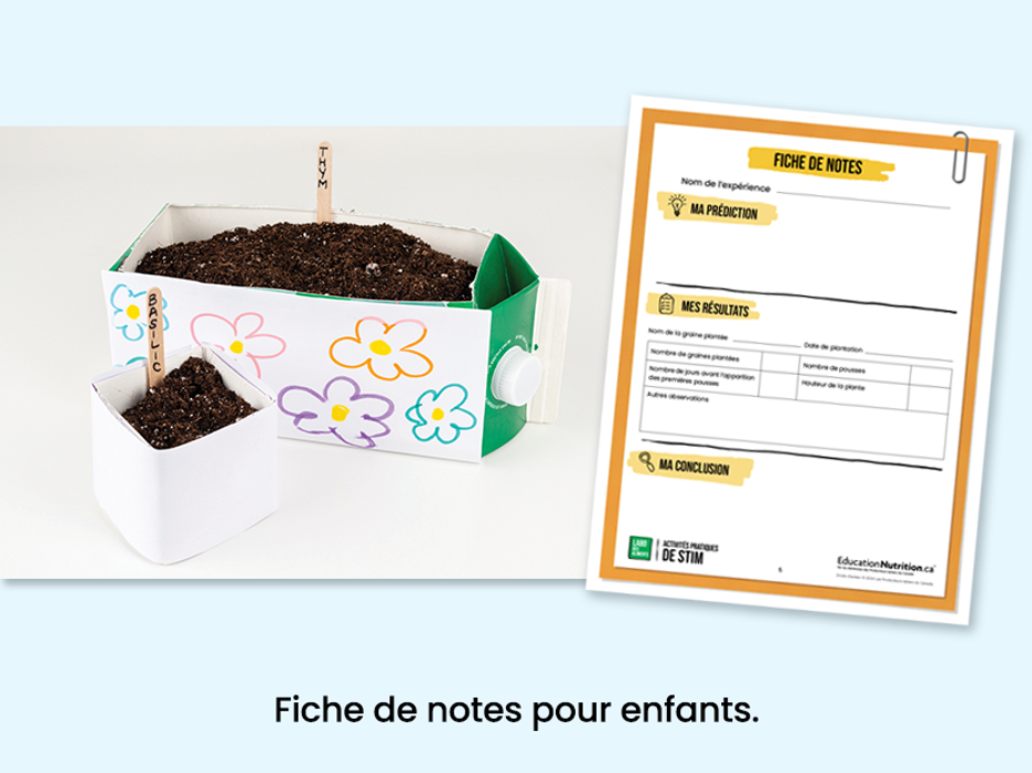 Jardin dans un carton de lait - Fiche de notes pour les enfants - Programme Le labo des aliments - STIM