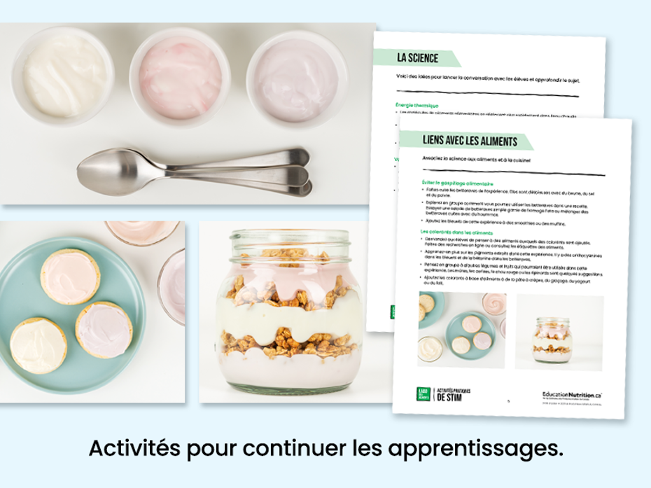 Trempette au yogourt, biscuits et parfaits au yogourt qui utilisent des colorants à base d’aliments - activités pour continuer les apprentissages - Programme Le labo des aliments - STIM