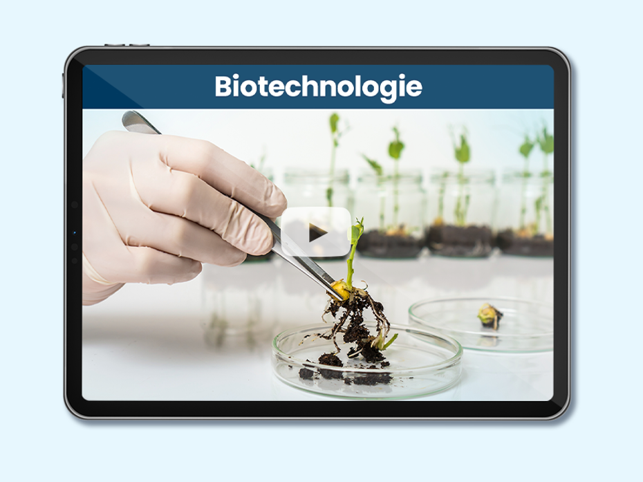 Plat de pétri avec une plante dans un laboratoire. Texte sur l'image: Biotechnologie