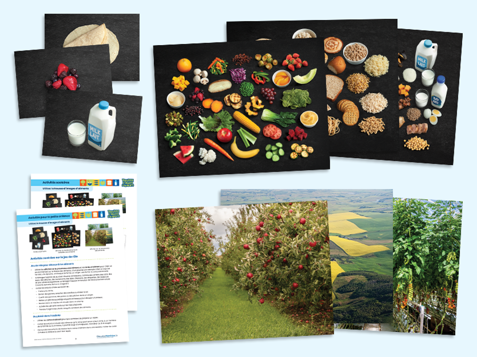 trousse qui contient des cartes d'images d'aliments, des affiches sur le Guide alimentaire canadien et des affiches sur la provenance des aliments